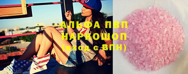 спиды Гусев