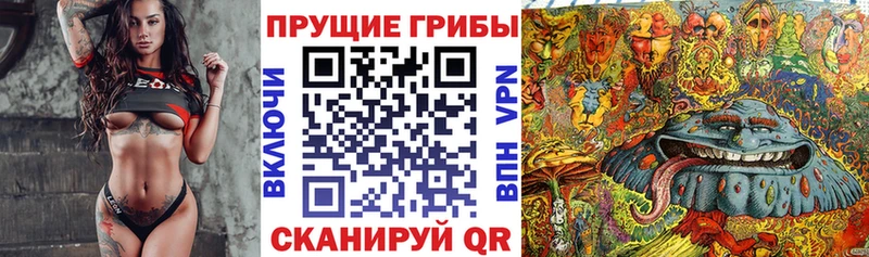 Псилоцибиновые грибы Cubensis  как найти наркотики  Баксан 