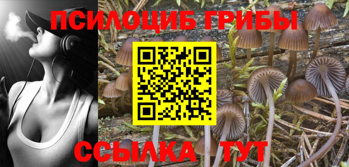Галлюциногенные грибы GOLDEN TEACHER  Вход с VPN  Псилоцибиновые грибы мицелий  Баксан 